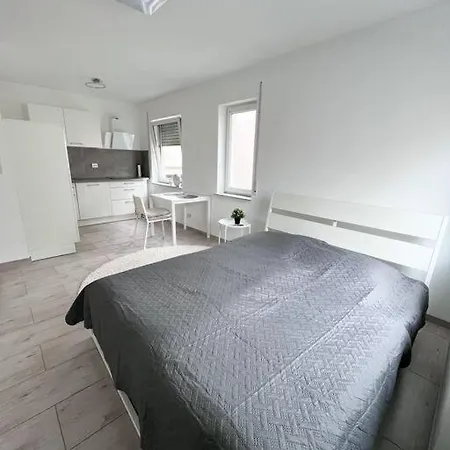 Neu Sanierte Einzimmerwohnung