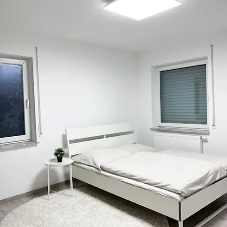Neu Sanierte Einzimmerwohnung